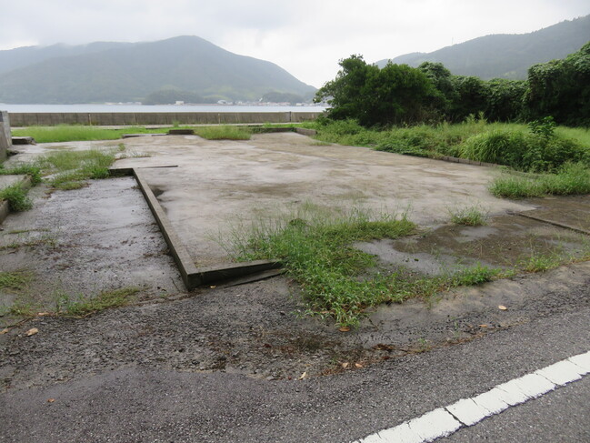 写真2