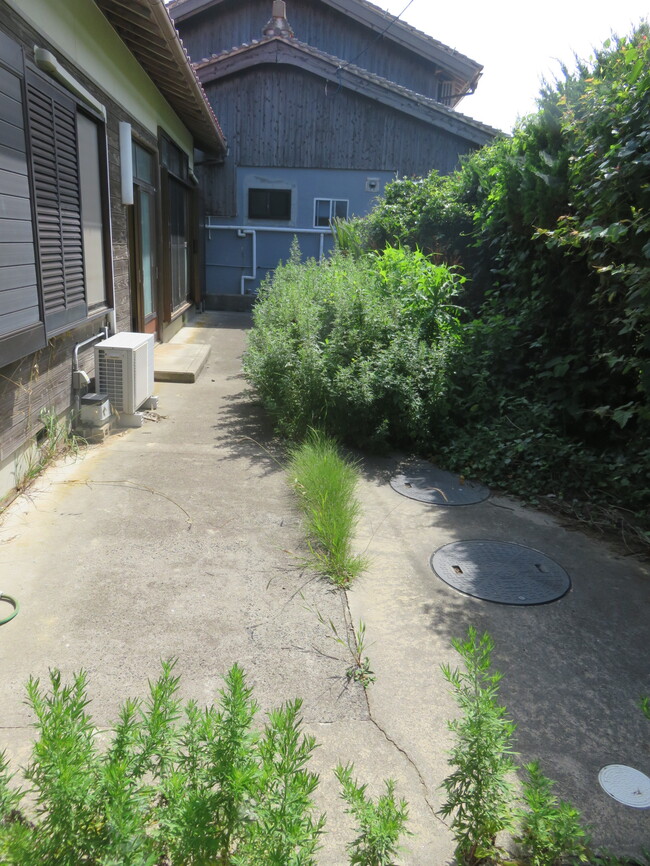庭