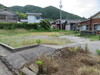 写真3