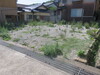 写真1